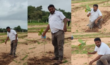A true custodian of nature, Jaggu Dada's inspiring resolve to plant 111 Mahuda trees