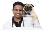 The Hidden Price of Cheap Kibble: Veterinarian Dr. Anshul Rawal on What Bargain Pet Food Is Doing to India's Dogs and Cats
